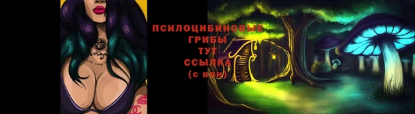 PSILOCYBIN Киреевск