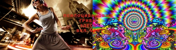 PSILOCYBIN Киреевск