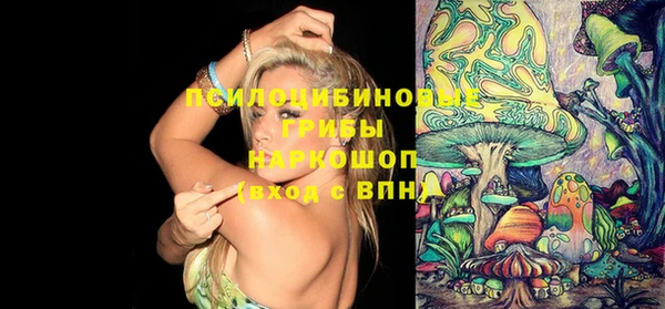 PSILOCYBIN Киреевск